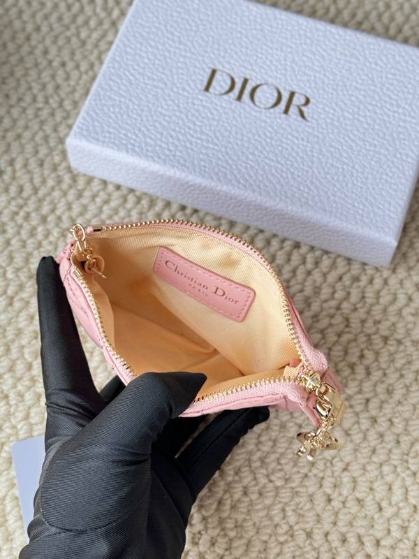 Dior Card bag  (27)