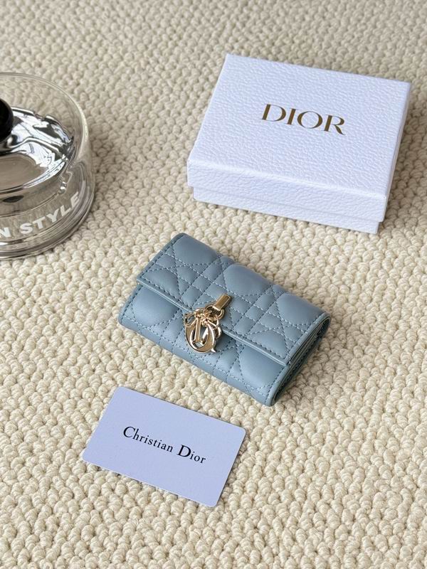 Dior Card bag  (29)