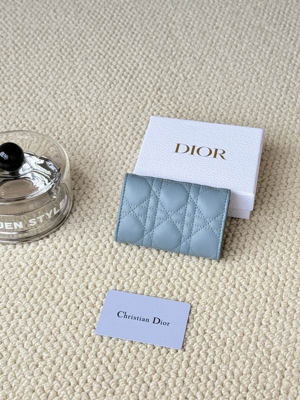 Dior Card bag  (30)