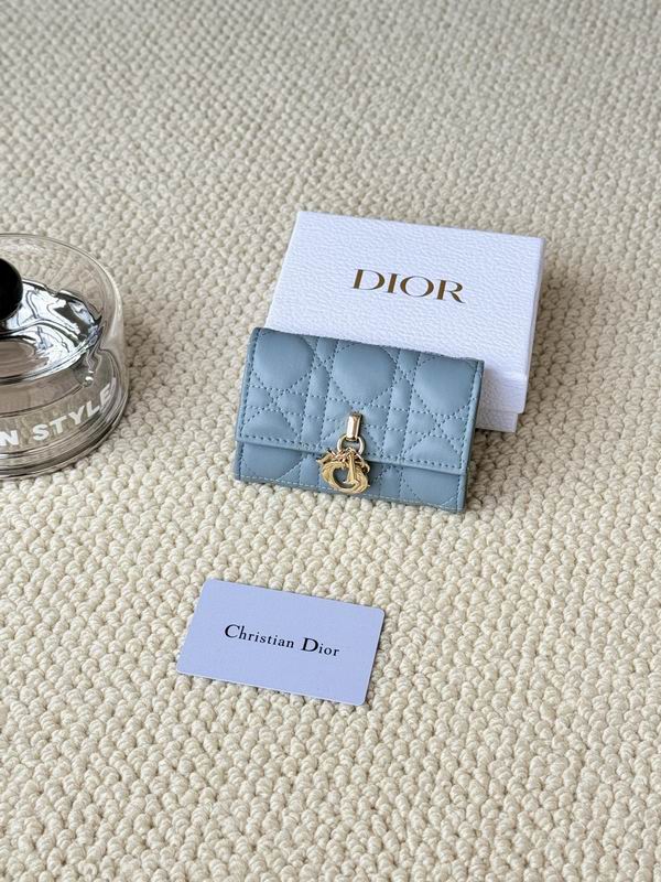 Dior Card bag  (31)