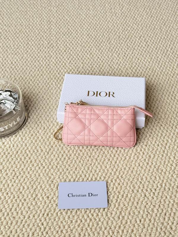 Dior Card bag  (31)