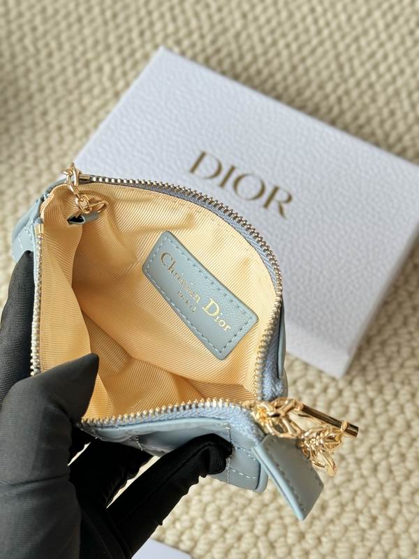 Dior Card bag  (33)
