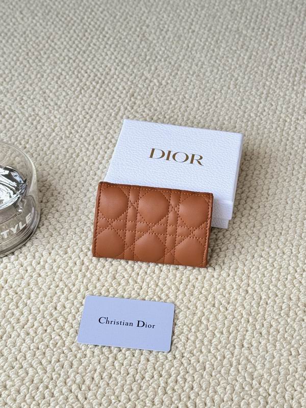 Dior Card bag  (36)