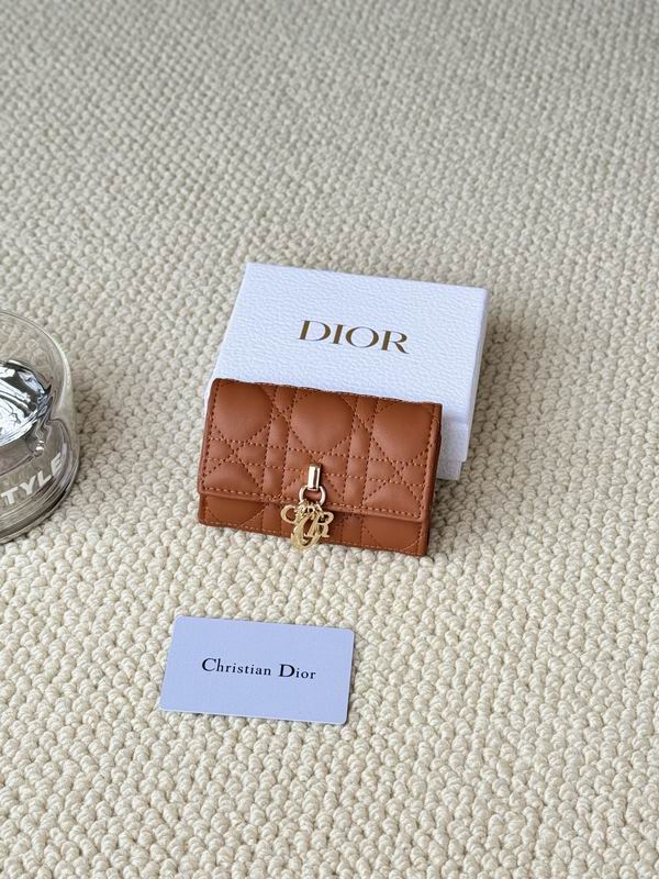 Dior Card bag  (37)