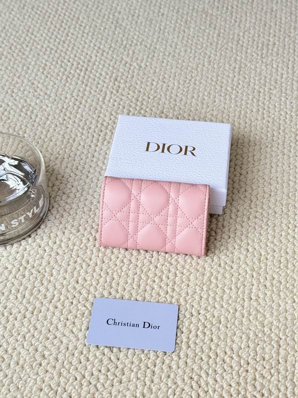 Dior Card bag  (6)