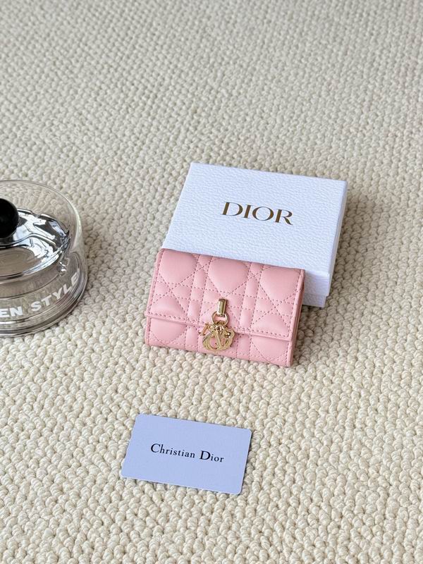 Dior Card bag  (7)