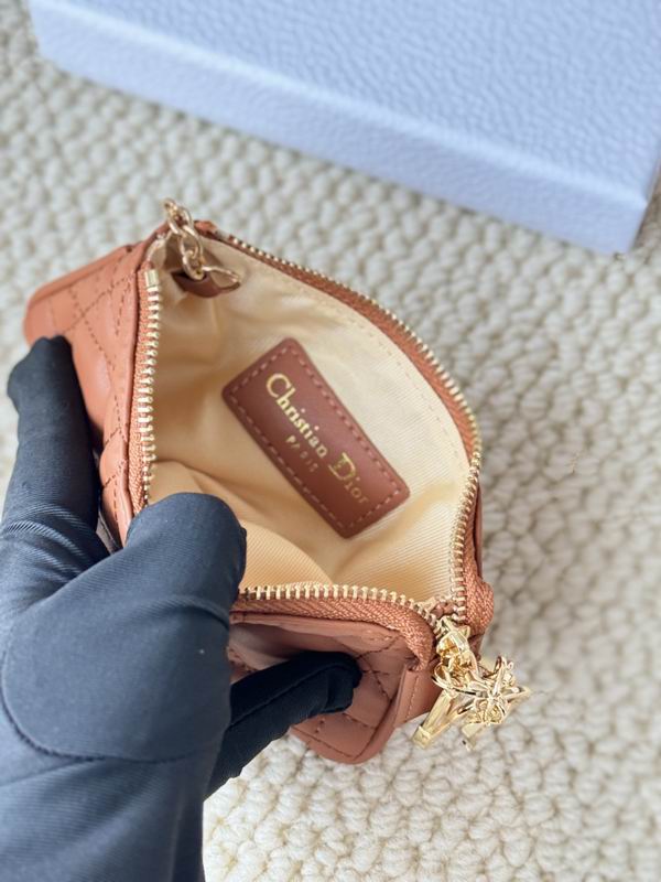 Dior Card bag  (8)