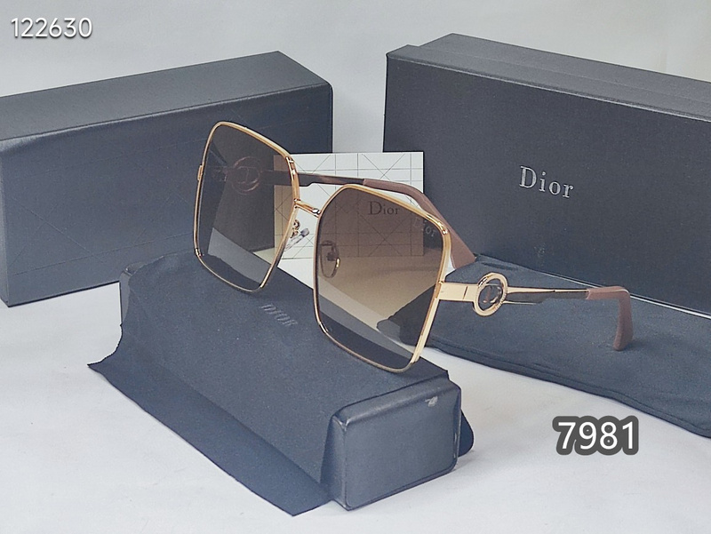 Dior Glasses xh   (10)