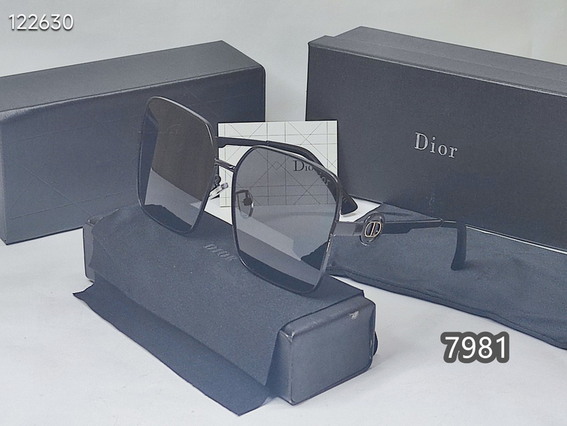 Dior Glasses xh   (11)