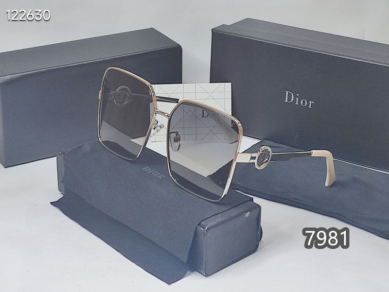 Dior Glasses xh   (12)