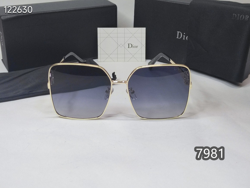 Dior Glasses xh   (15)