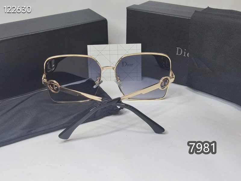 Dior Glasses xh   (16)