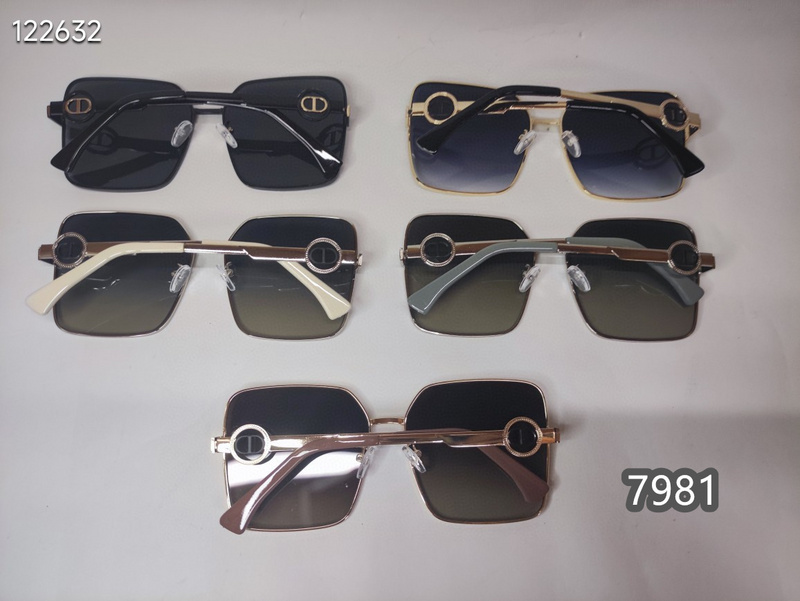 Dior Glasses xh   (2)