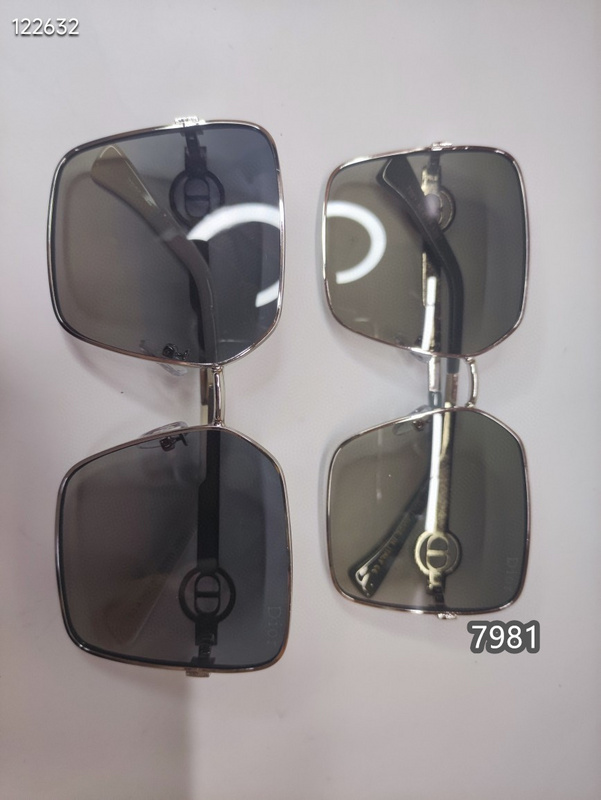 Dior Glasses xh   (3)