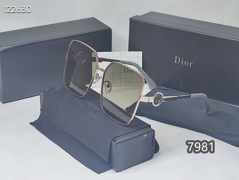 Dior Glasses xh   (9)