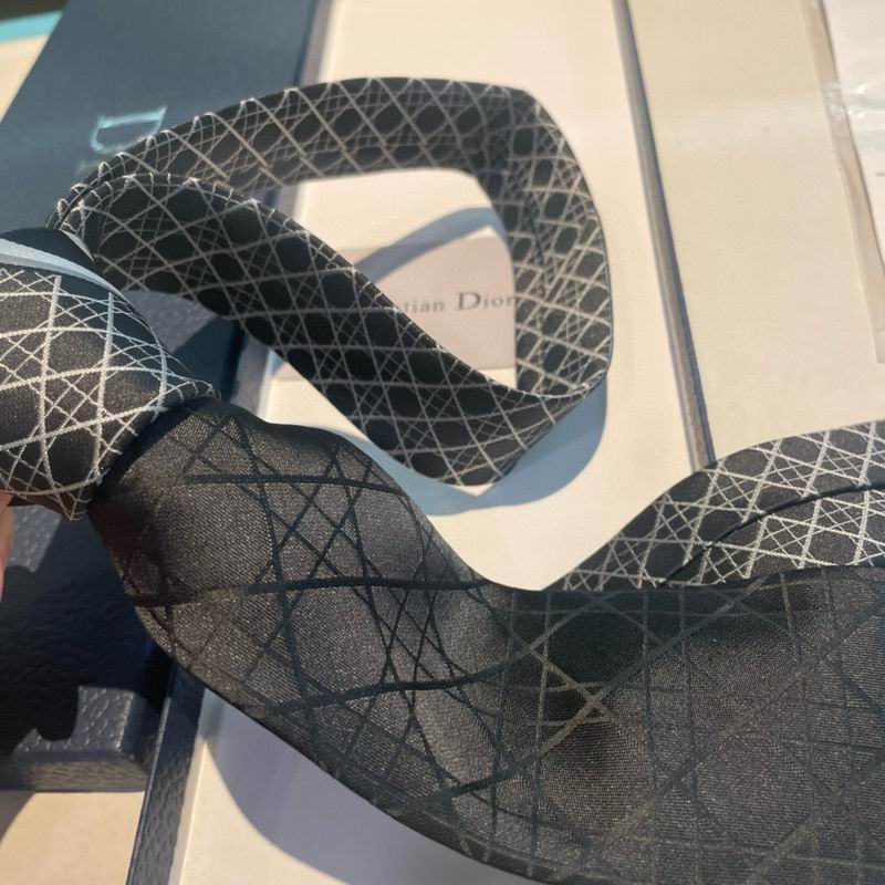 Dior Tie hm (46)