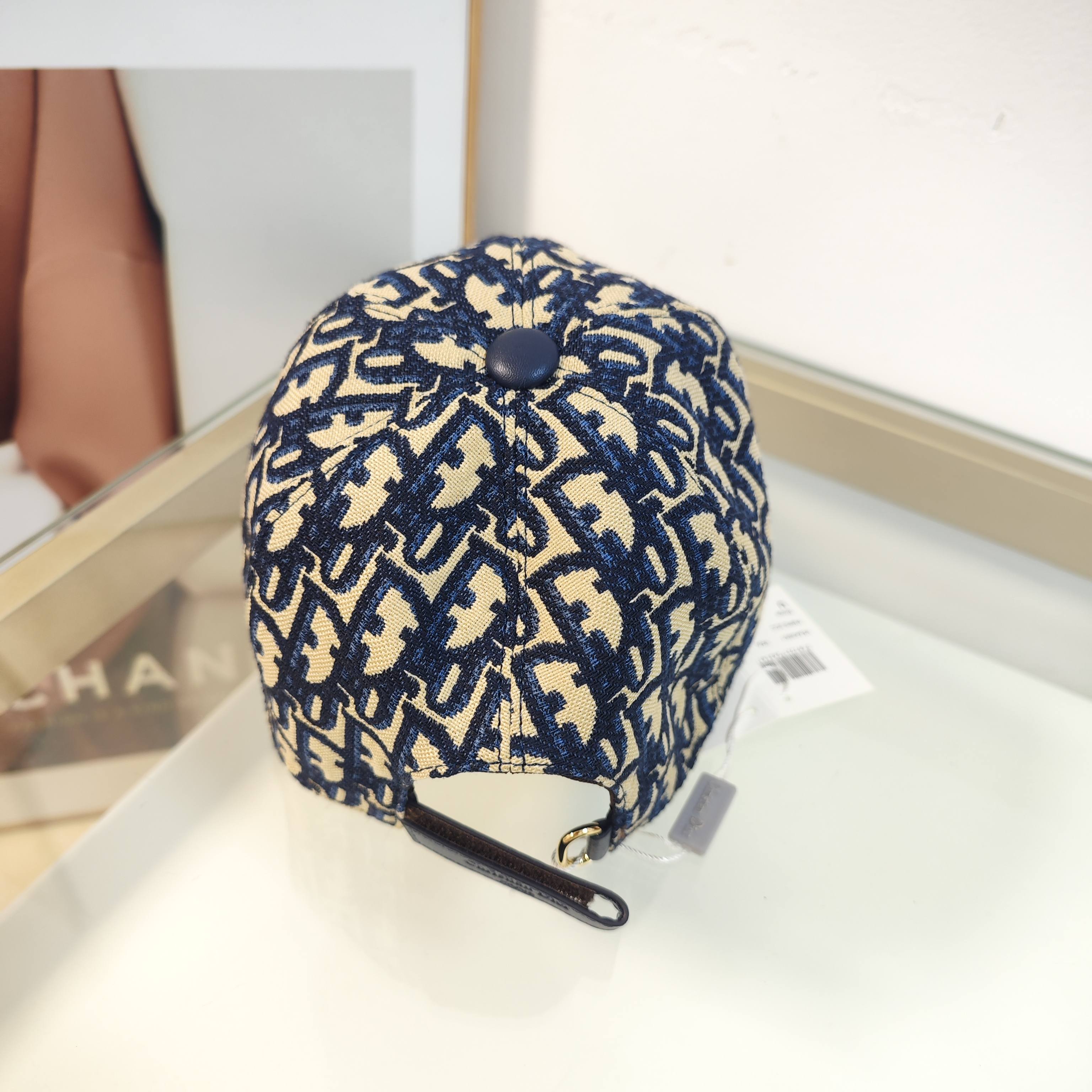 Dior cap(高版本）dx (13)