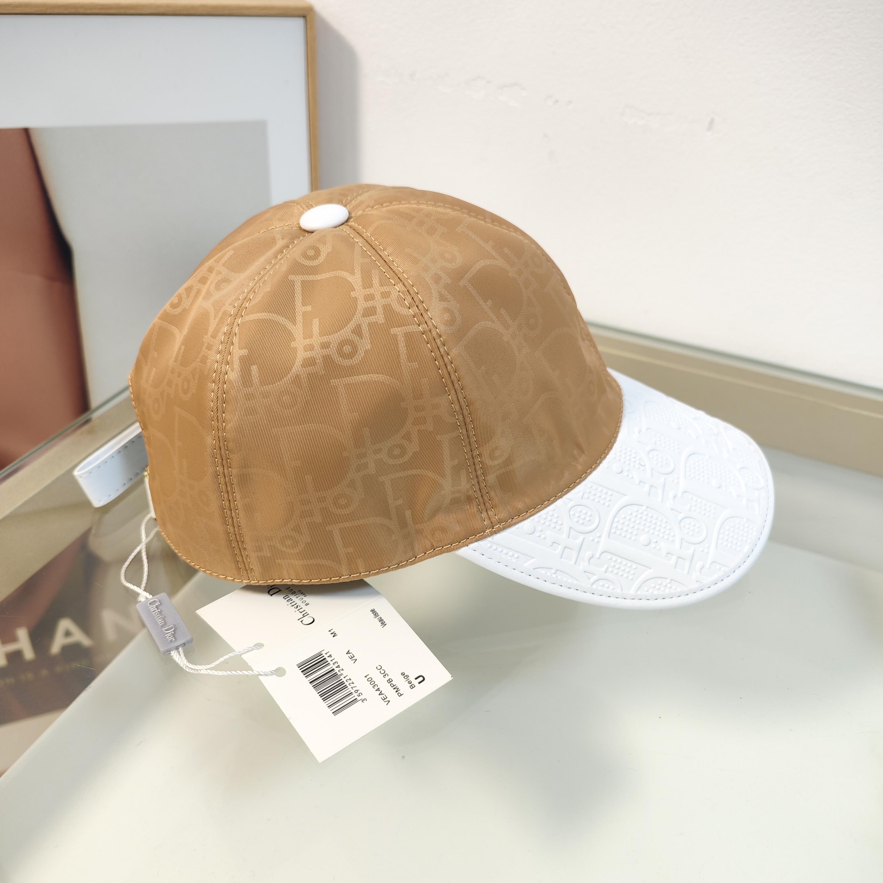 Dior cap(高版本）dx (28)