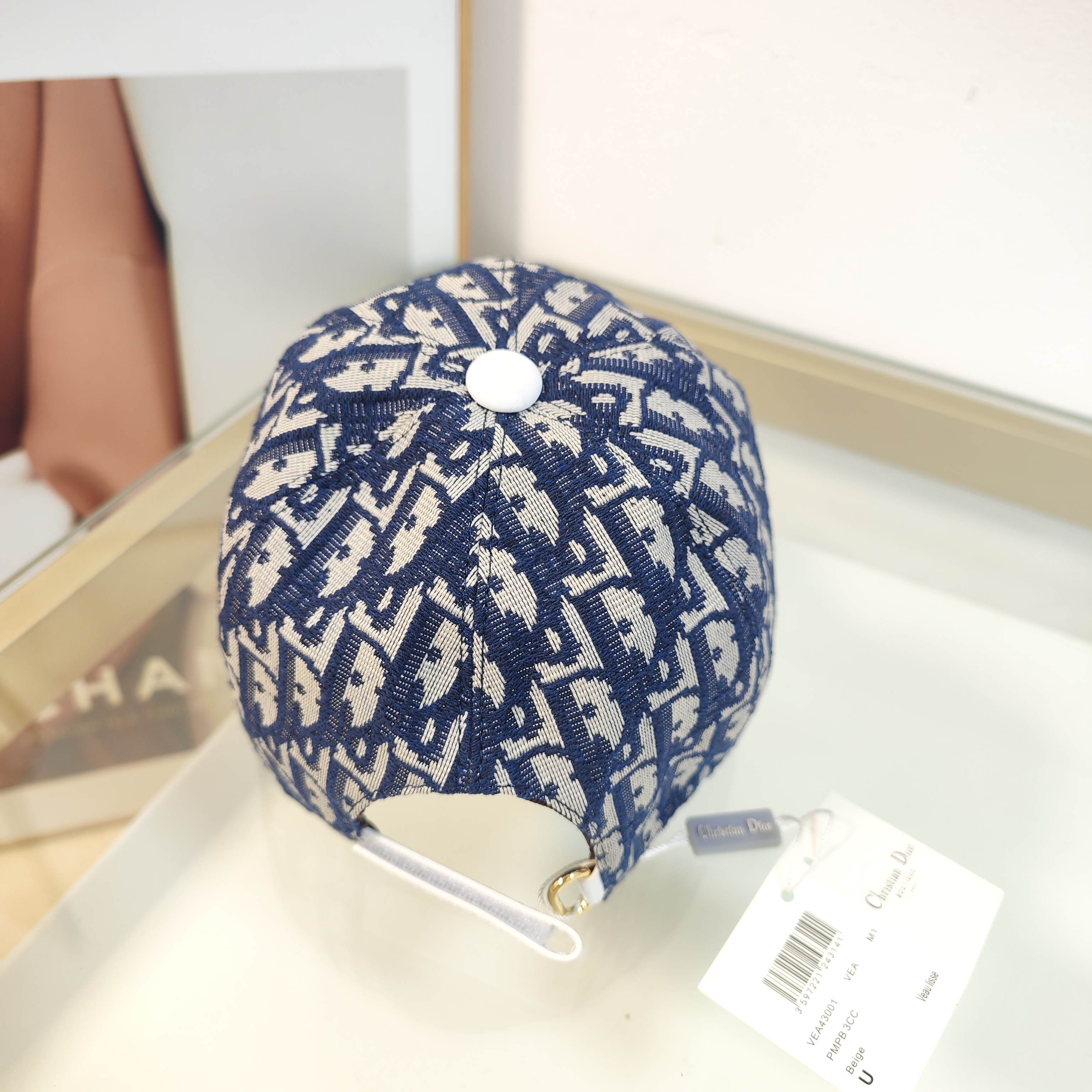 Dior cap(高版本）dx (5)