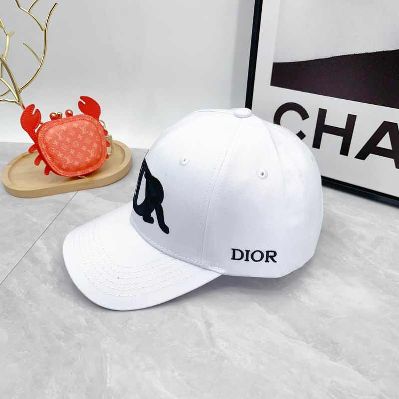 Dior cap dx (78)