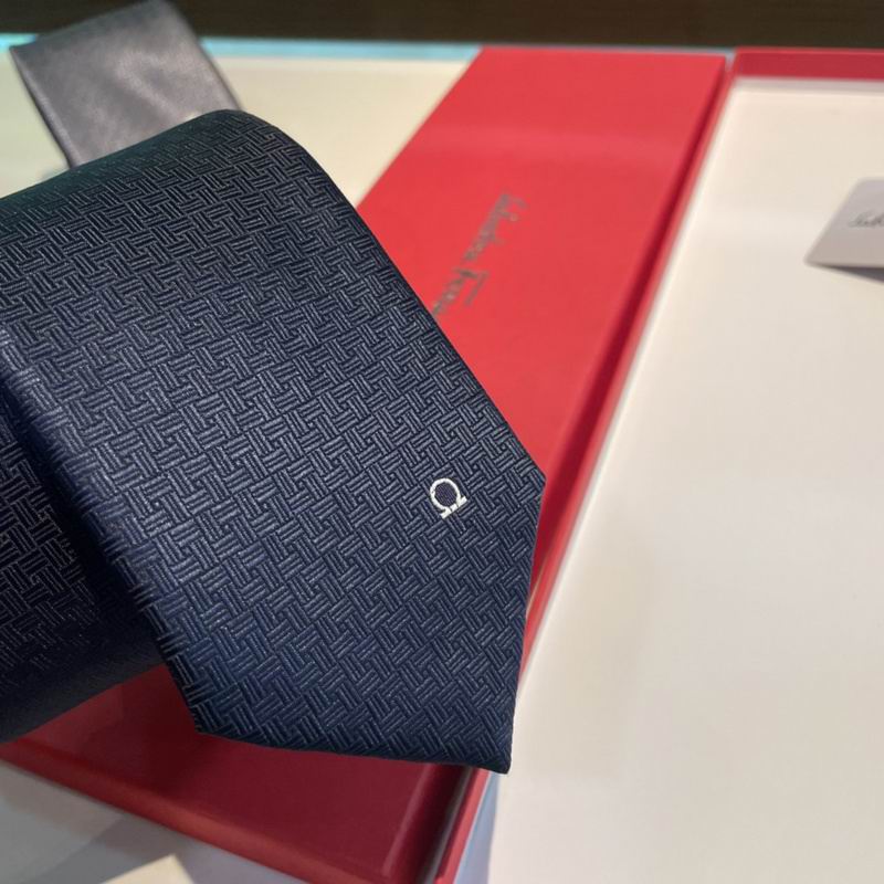 Ferragamo Tie hm (1)