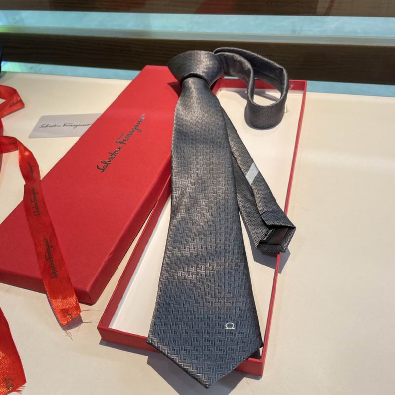 Ferragamo Tie hm (11)