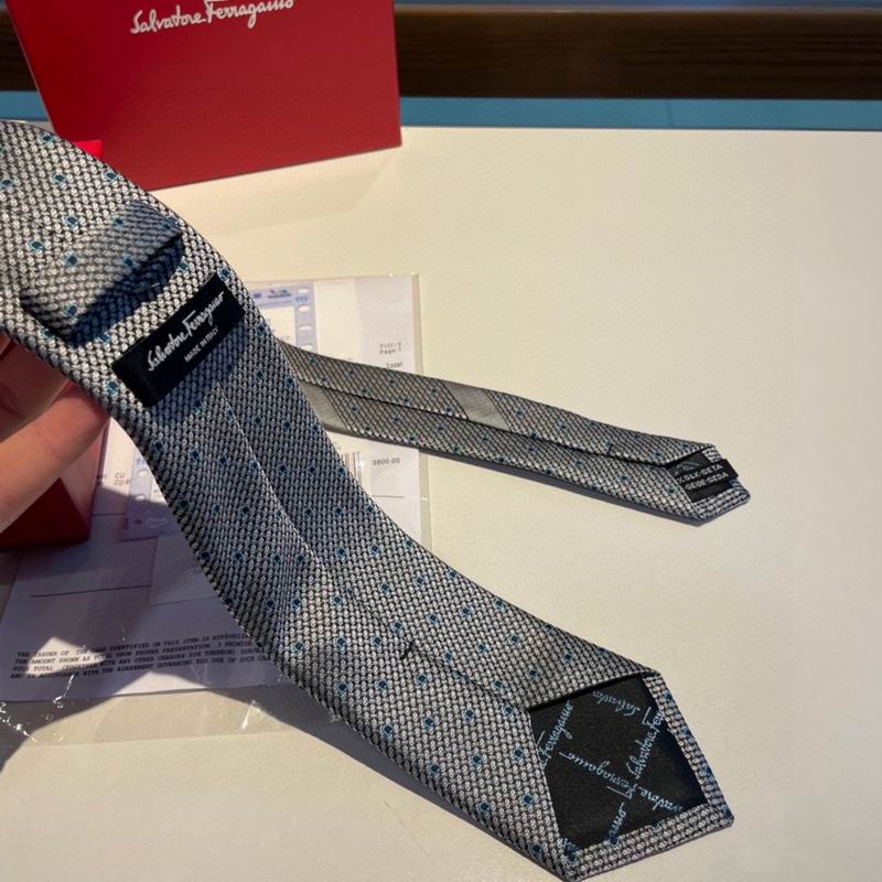Ferragamo Tie hm (12)