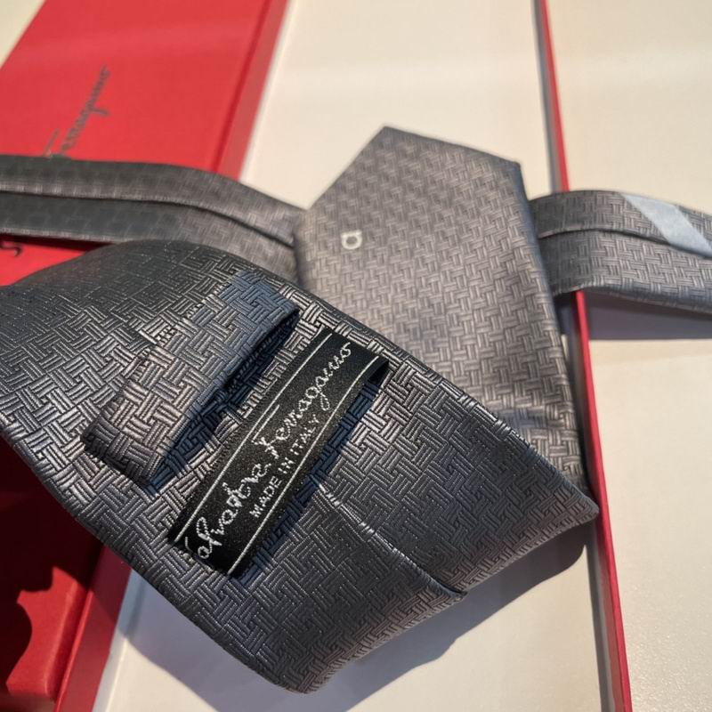 Ferragamo Tie hm (13)