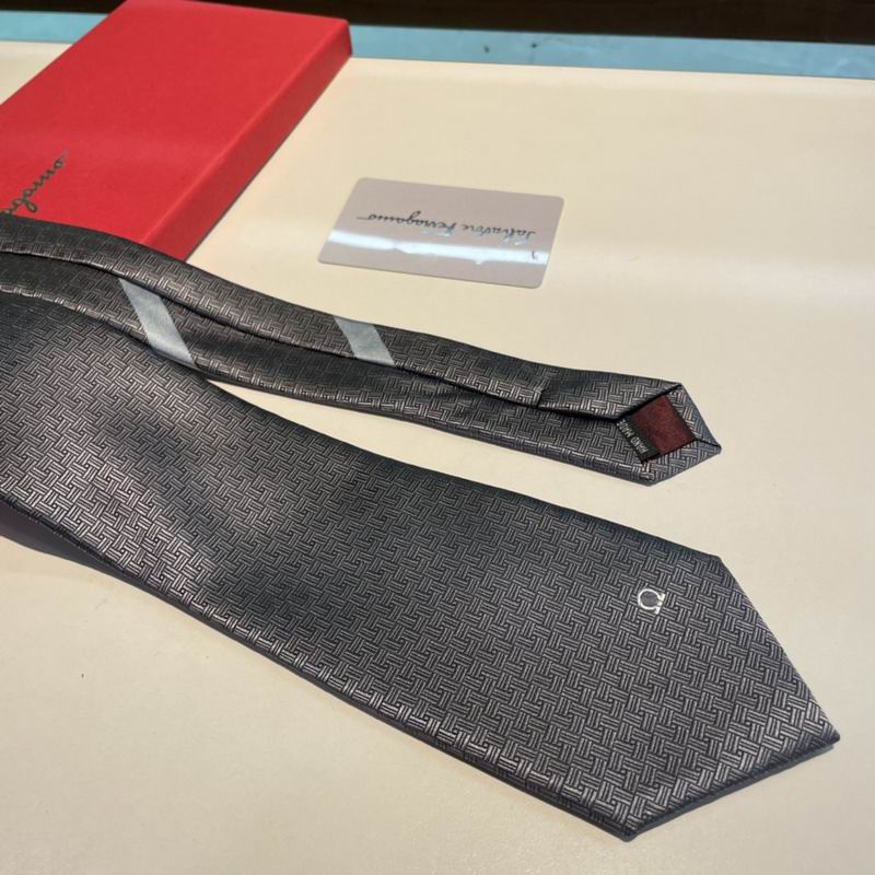 Ferragamo Tie hm (14)