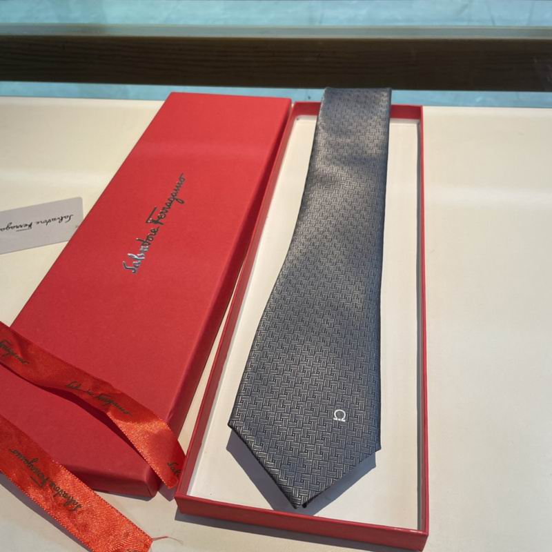 Ferragamo Tie hm (16)