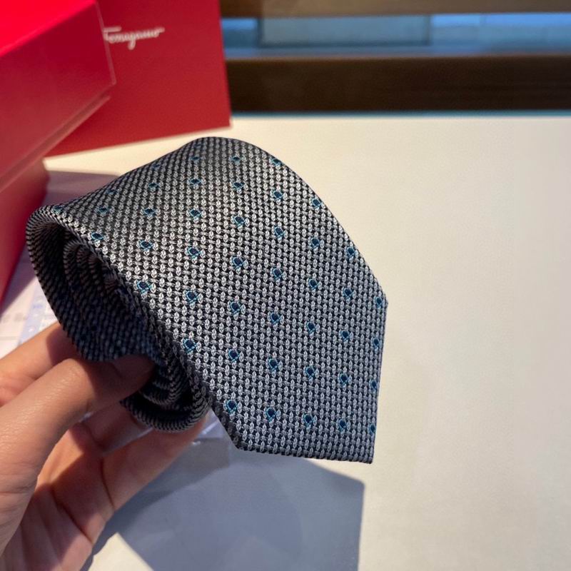 Ferragamo Tie hm (16)