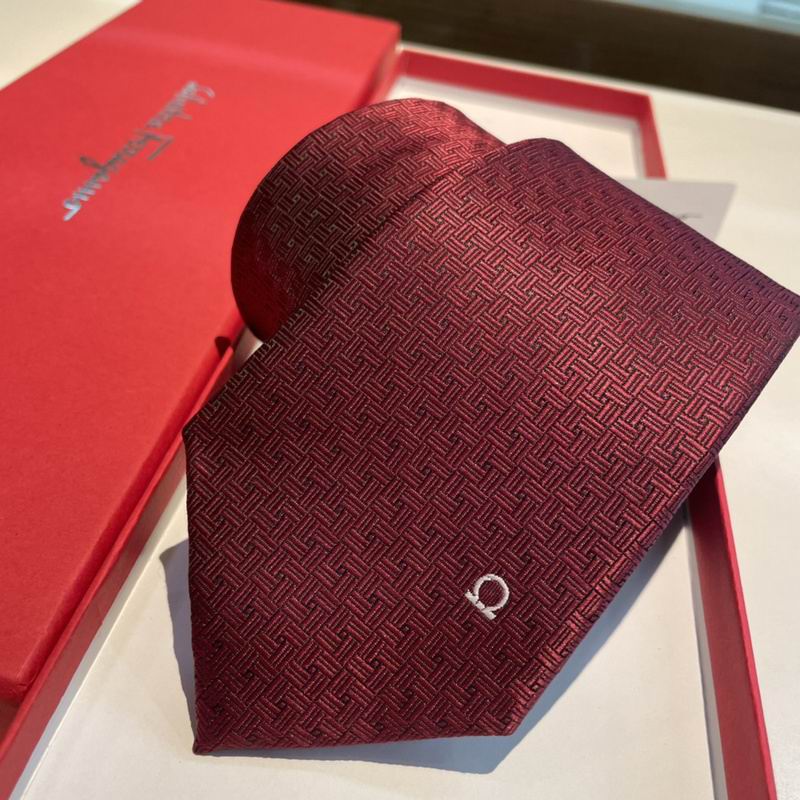 Ferragamo Tie hm (17)