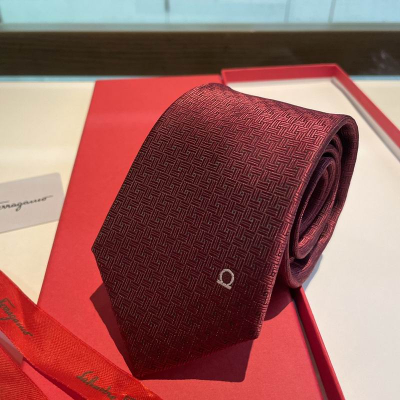 Ferragamo Tie hm (18)