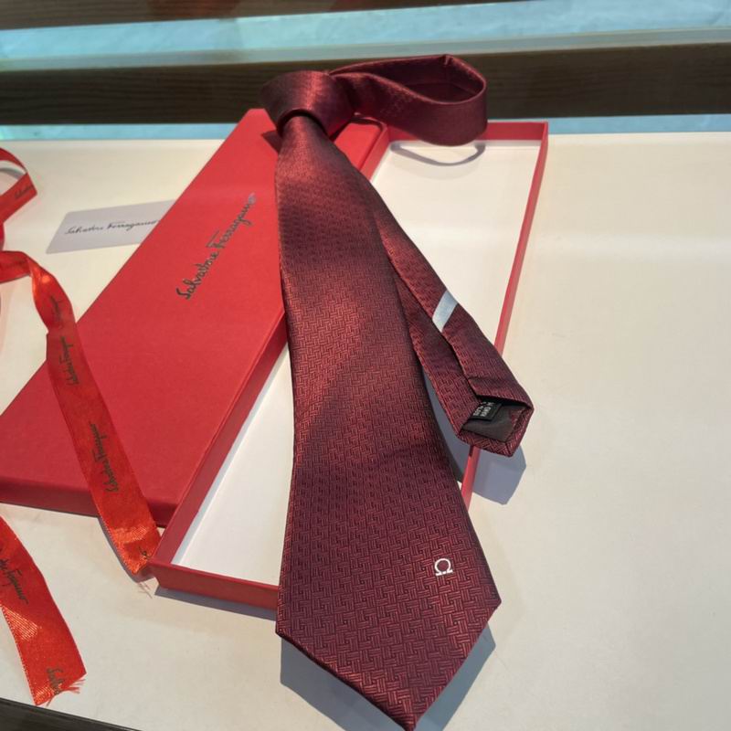 Ferragamo Tie hm (19)