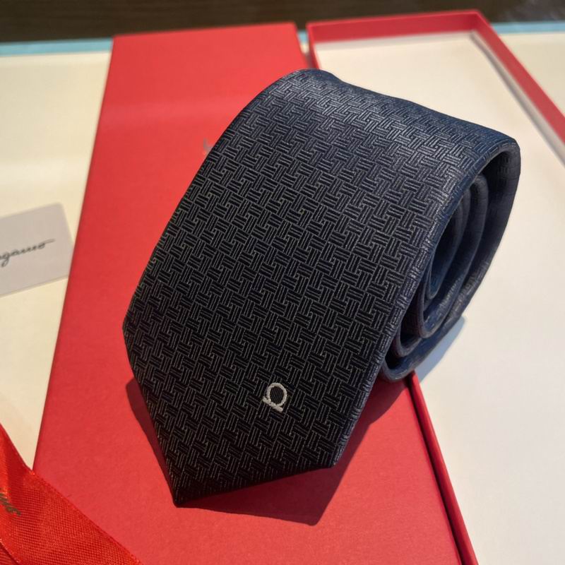 Ferragamo Tie hm (2)