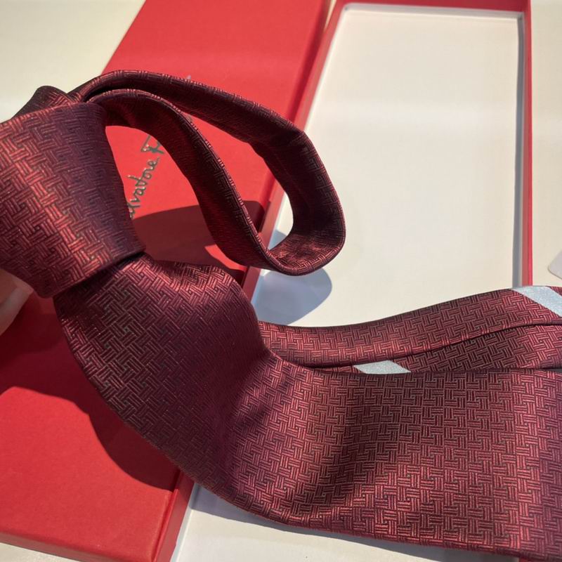 Ferragamo Tie hm (20)