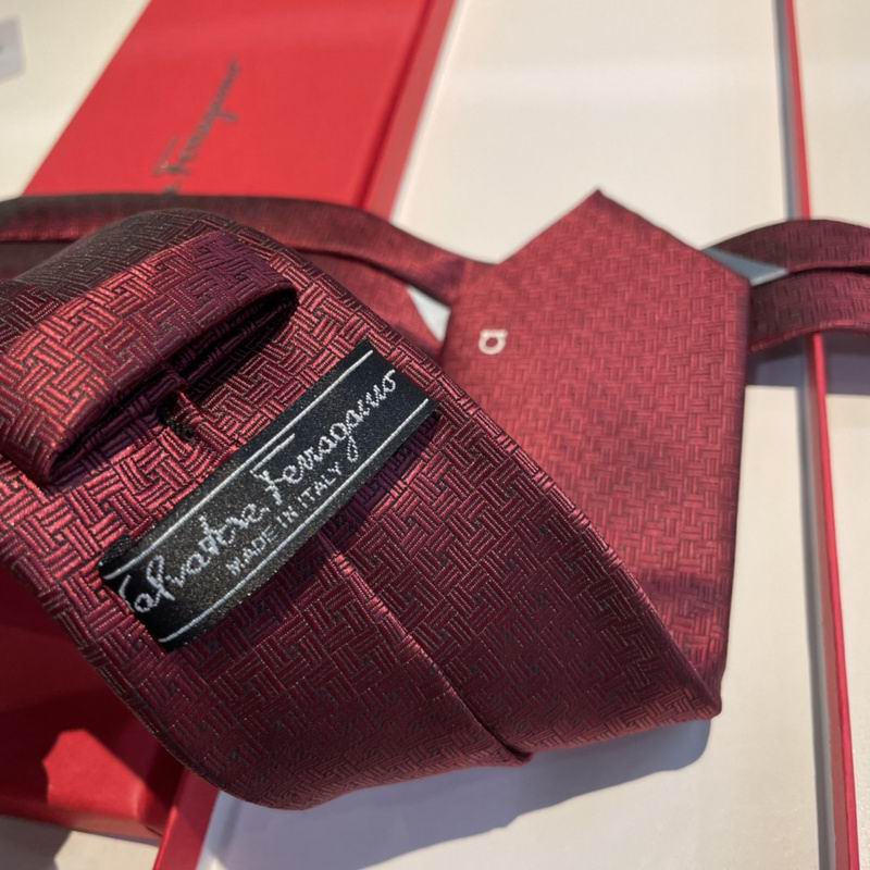 Ferragamo Tie hm (21)