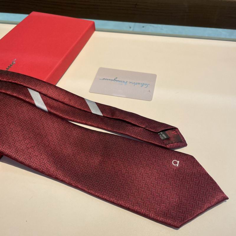 Ferragamo Tie hm (22)