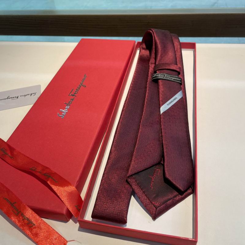Ferragamo Tie hm (23)