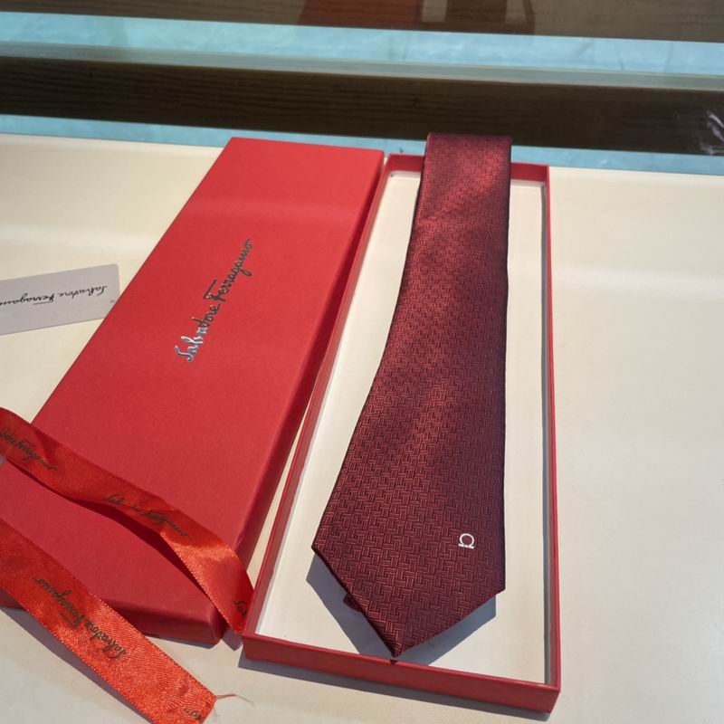 Ferragamo Tie hm (24)