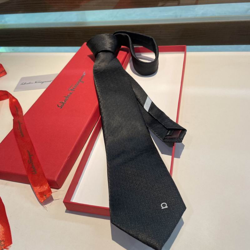 Ferragamo Tie hm (27)