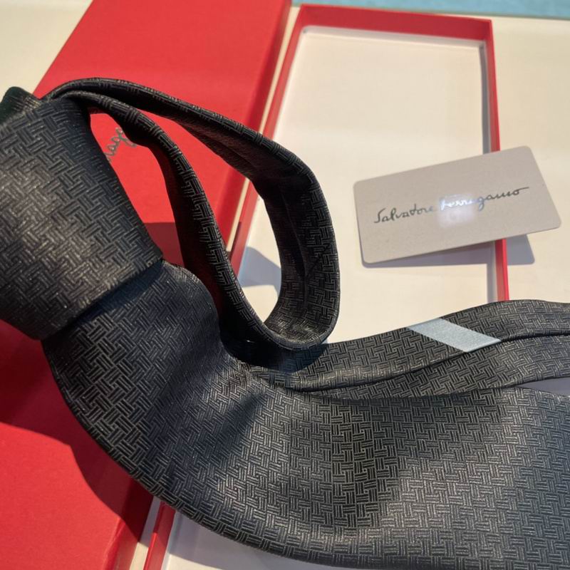 Ferragamo Tie hm (28)