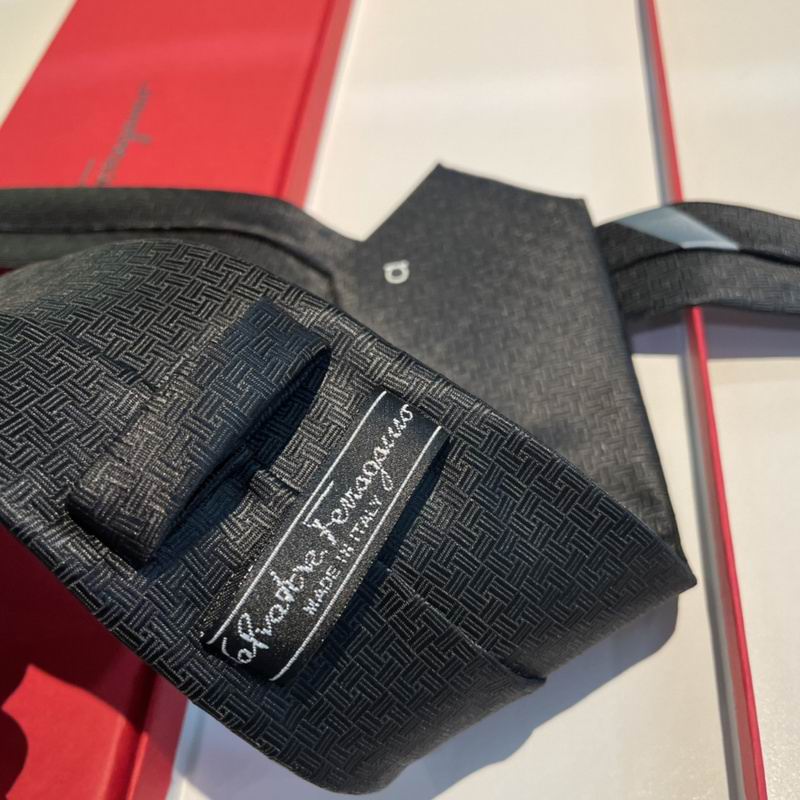 Ferragamo Tie hm (29)
