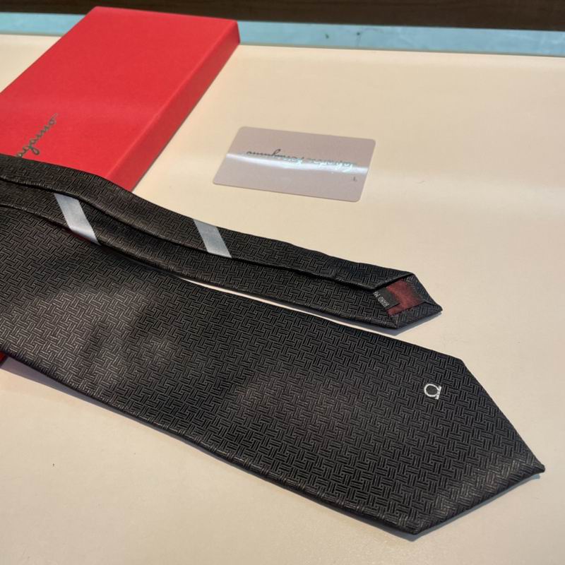 Ferragamo Tie hm (30)