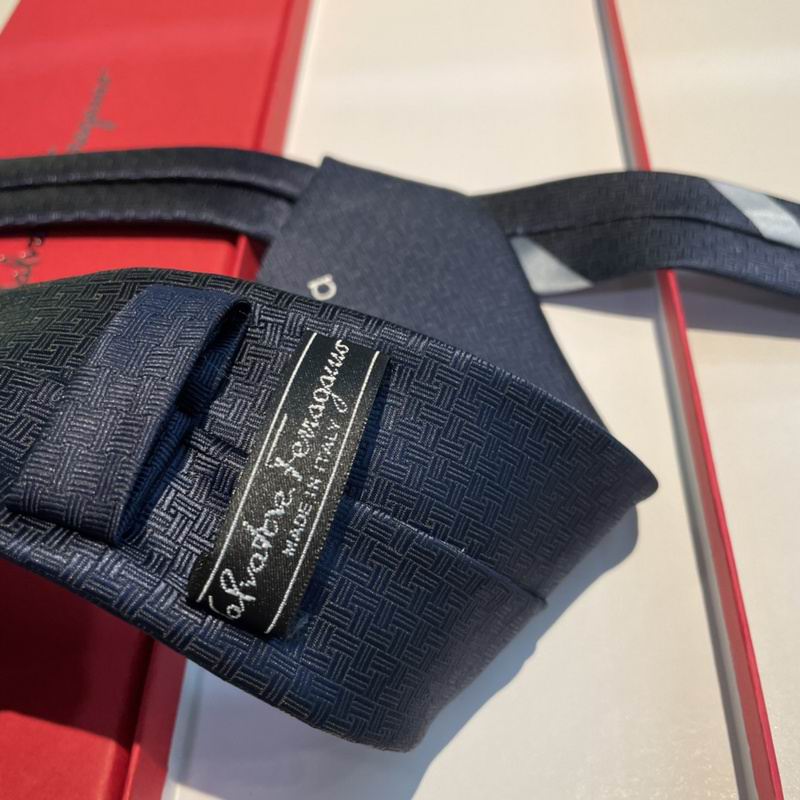 Ferragamo Tie hm (5)