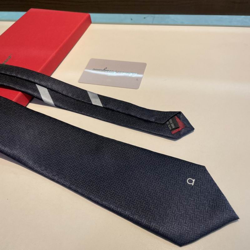 Ferragamo Tie hm (6)