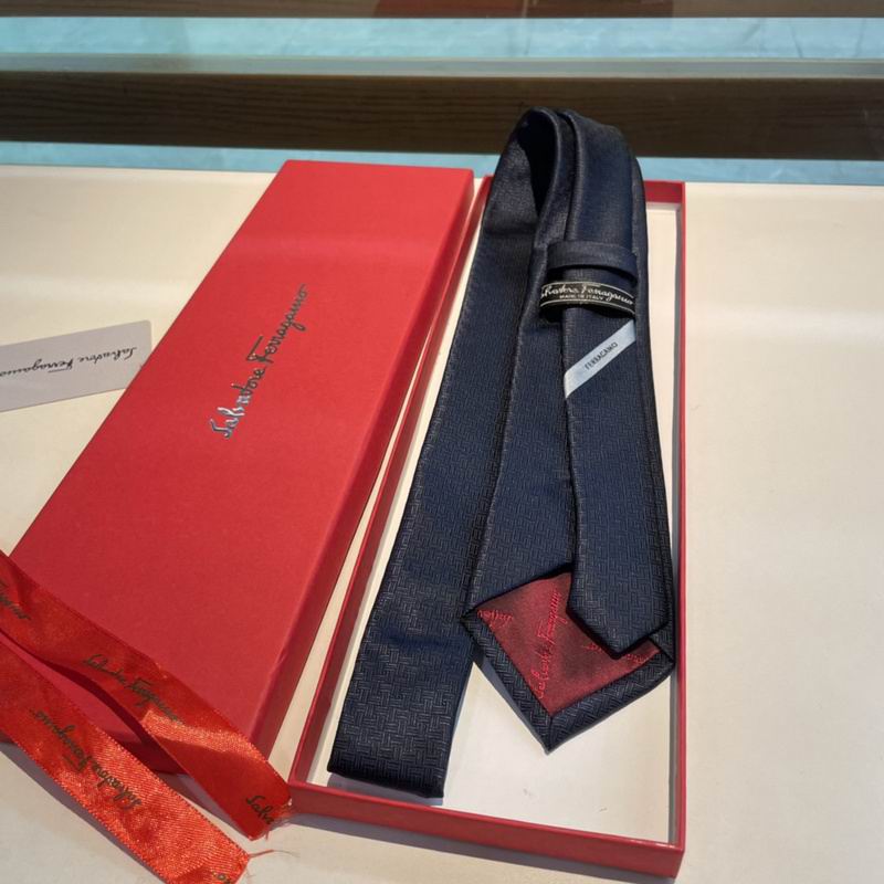 Ferragamo Tie hm (7)