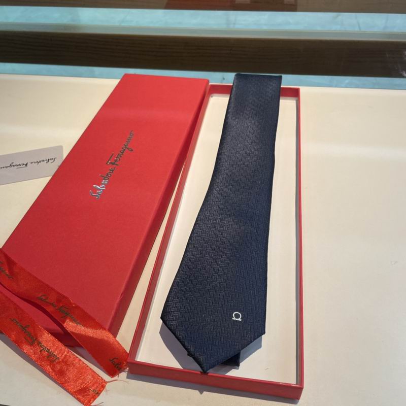 Ferragamo Tie hm (8)