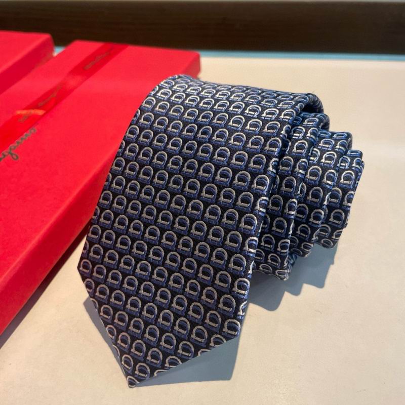 Ferragamo Tie hm (80)