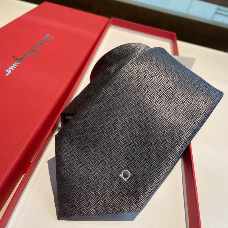 Ferragamo Tie hm (9)